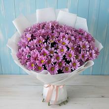 Букет цветов из:  Хризантемы #REPLACE_PRED# Рощино Ставропольского края