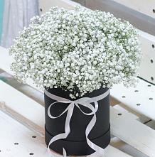 Цветочная композиция из Гипсофила в шляпной коробке #REPLACE_PRED# Рощино Ставропольского края