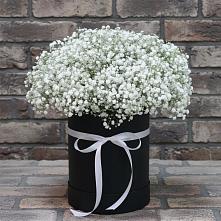 Цветочная композиция из Гипсофила в шляпной коробке в Рощино Ставропольского края