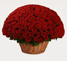 Премиум букет из: Розы в Рощино Ставропольского края